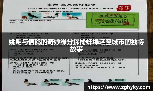 姚明与信鸽的奇妙缘分探秘蚌埠这座城市的独特故事