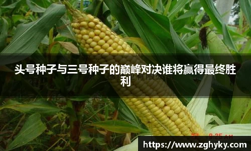 庄闲官网